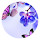 Blue flowers Popular New tabs HD Themes