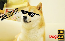 Doge Wallpaper HD Custom New Tab small promo image