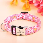 211 Pink