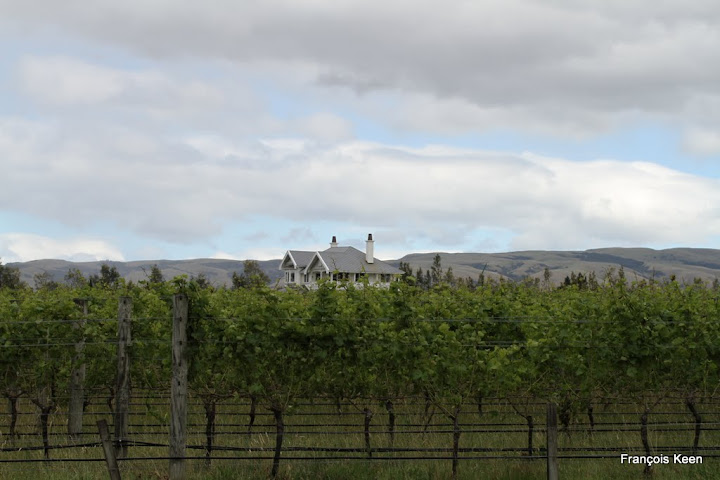 NZ - Martinborough winyards