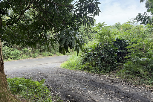 Land 2