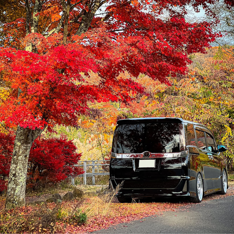 ヴォクシーの黒光り・シンプルイズベスト・写活の秋・紅葉・紅葉と愛車に関するカスタム事例の投稿画像5枚目