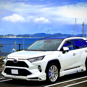 RAV4 AXAH54