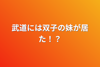 武道には双子の妹が居た！？