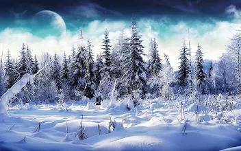 Snow On The Go Live Wallpaper Aplicații Pe Google Play