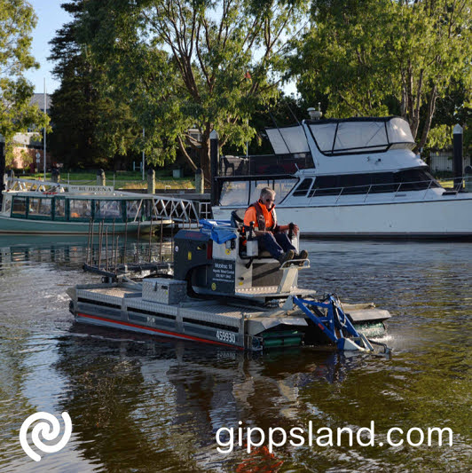 A prolific build-up of weed, particularly in recent weeks, is making it difficult for some vessels to navigate the water