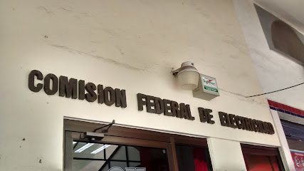 CFE Comisión Federal de Electricidad