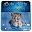 Cute Kitty Keyboard Download on Windows