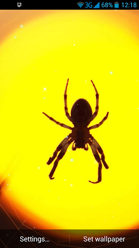 Spider Live Wallpaper