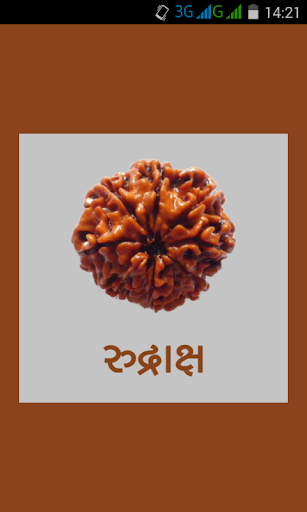 Rudraksha Guide