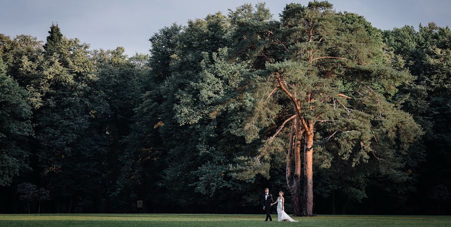 結婚式の写真家Katya Mukhina (lama)。2016 4月5日の写真