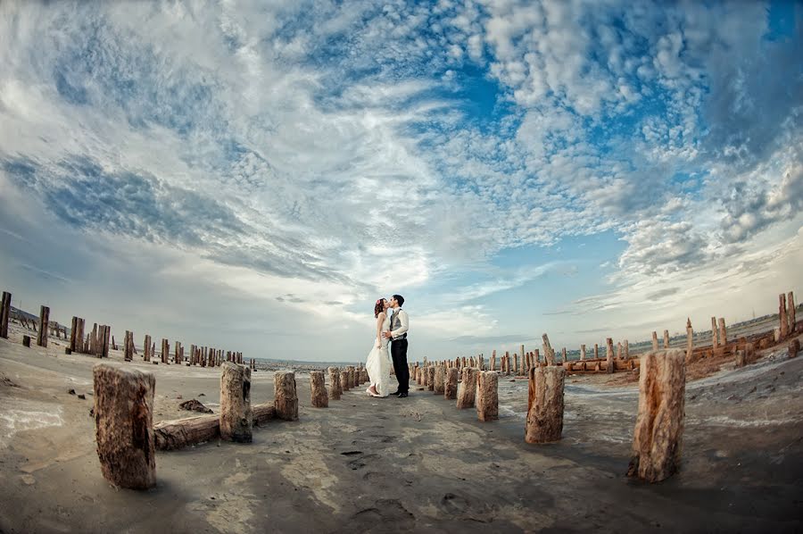 Wedding photographer Dmitriy Vasilenko (dmvasilenko). Photo of 31 January 2013