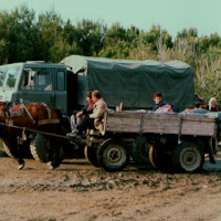 Il viaggio della speranza. di 