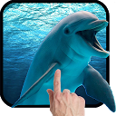 Herunterladen Dolphins - Play with me Installieren Sie Neueste APK Downloader