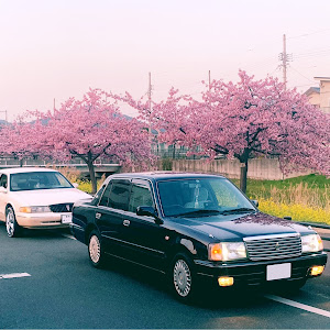 コンチネンタル 1LNVM97
