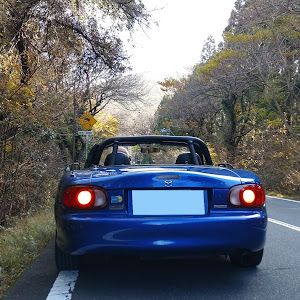 ロードスター NB8C