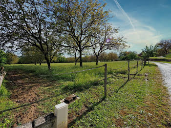 terrain à Saint-Vincent-de-Cosse (24)