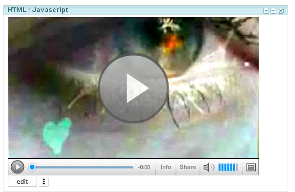 Add Full Web Pages To Igoogle