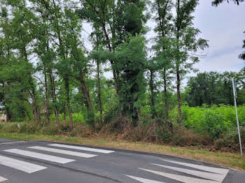 terrain à Saint-Denis-de-Pile (33)