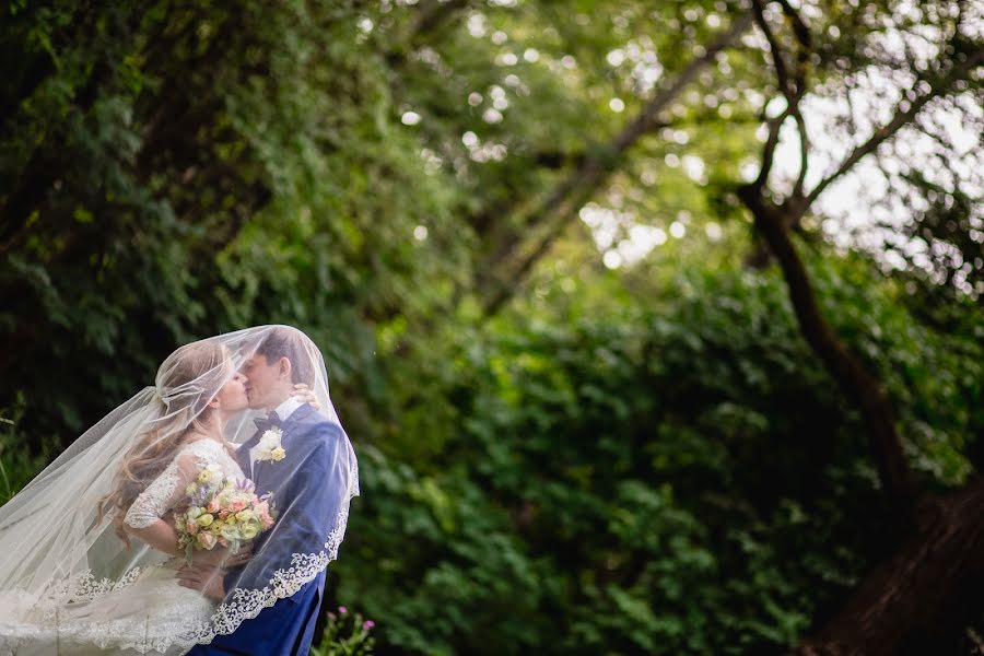 Fotografo di matrimoni Alena Gorshkova (agora). Foto del 29 settembre 2015