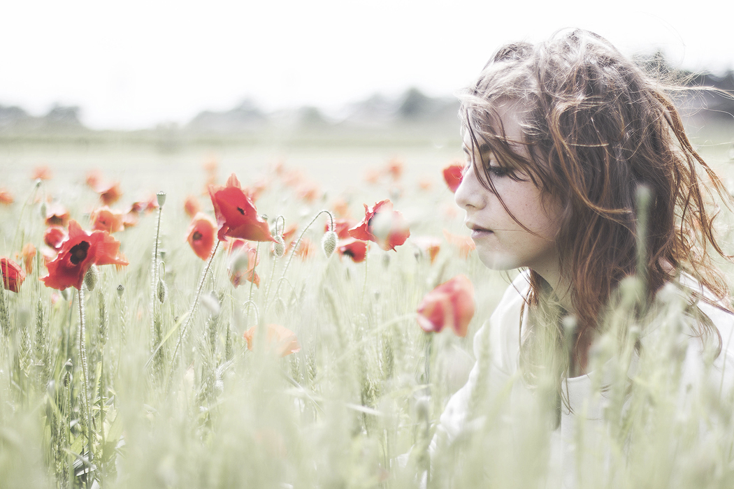 Poppies' paradise di alexcaso91