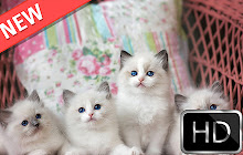 Kittens HD new free tab theme small promo image