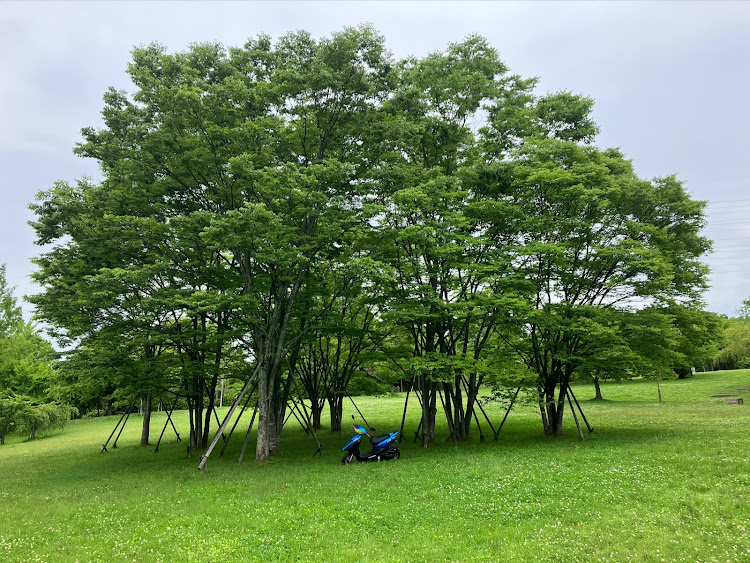 の投稿画像11枚目