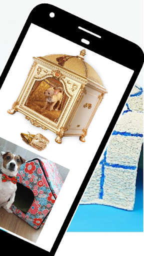 Pet House Decorating Tips