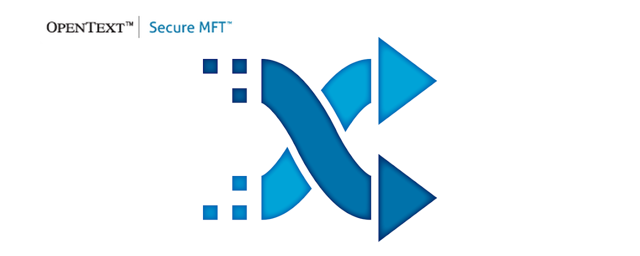 OpenText Secure MFT Preview image 2