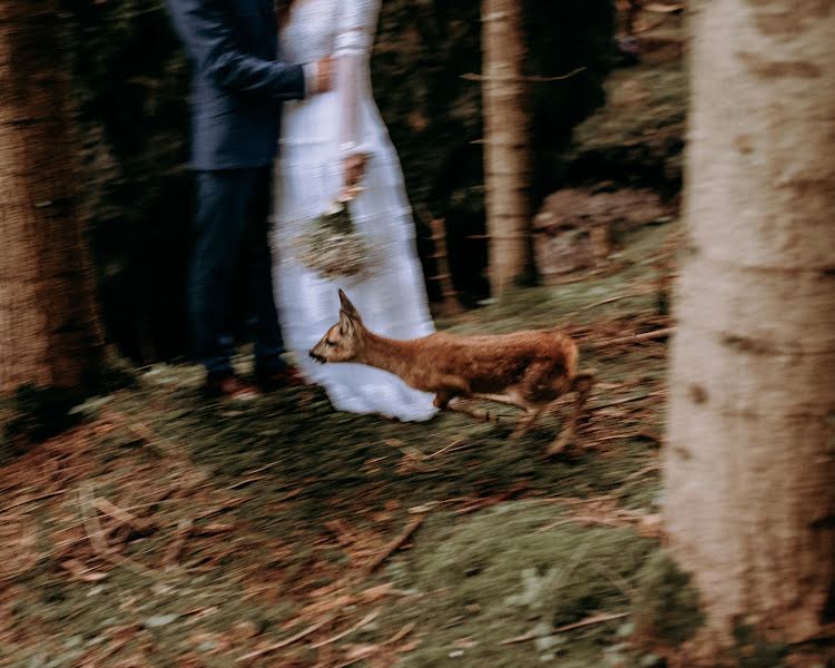 Fotógrafo de bodas Klaudia Kirschner (klaudiakirschner). Foto del 26 de enero 2022