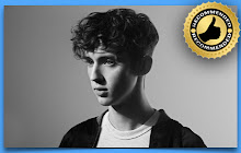 Troye Sivan New Tab Theme small promo image