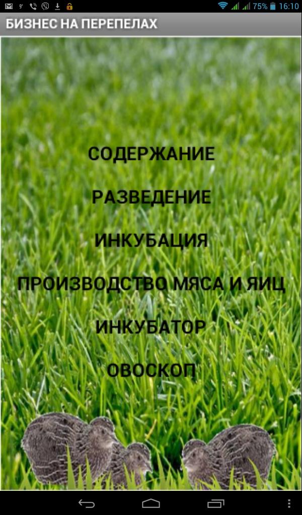 Помощник вразведении перепёлок Screen 1