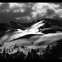 Profumo di neve di 