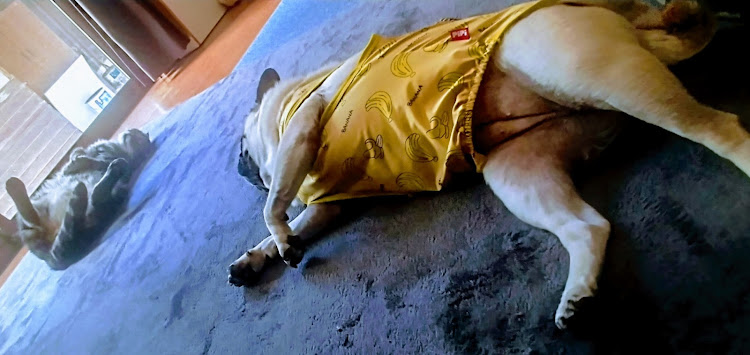 ジムニーのジムニー・四駆・熱中症に気をつけて!!に関するカスタム事例の投稿画像9枚目