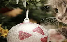 Christmas Kittens New Tab Theme small promo image