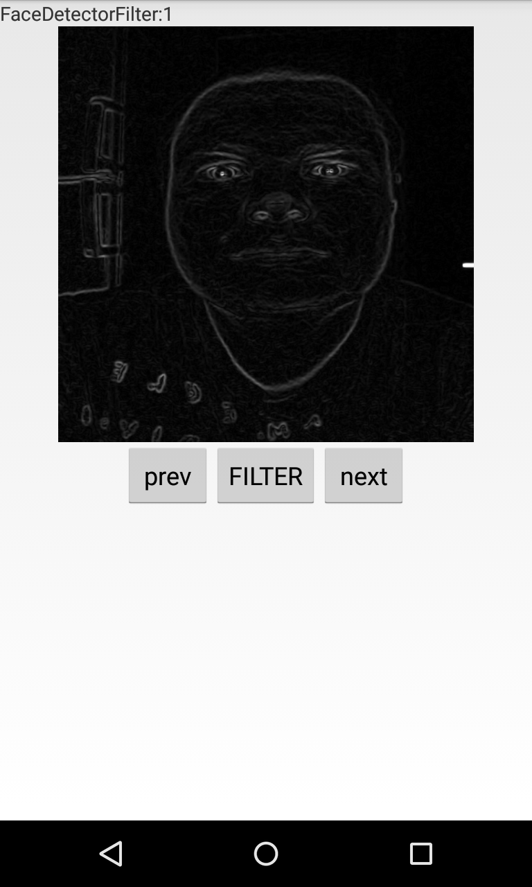 Camera Filters Demo Screen 3