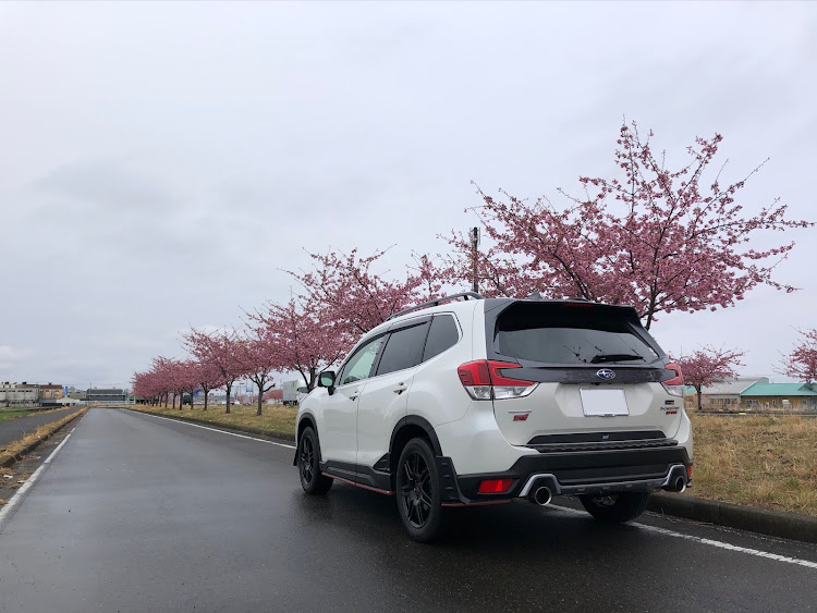 フォレスターの雨の日の1枚・SK5・河津桜に関するカスタム事例の投稿画像1枚目