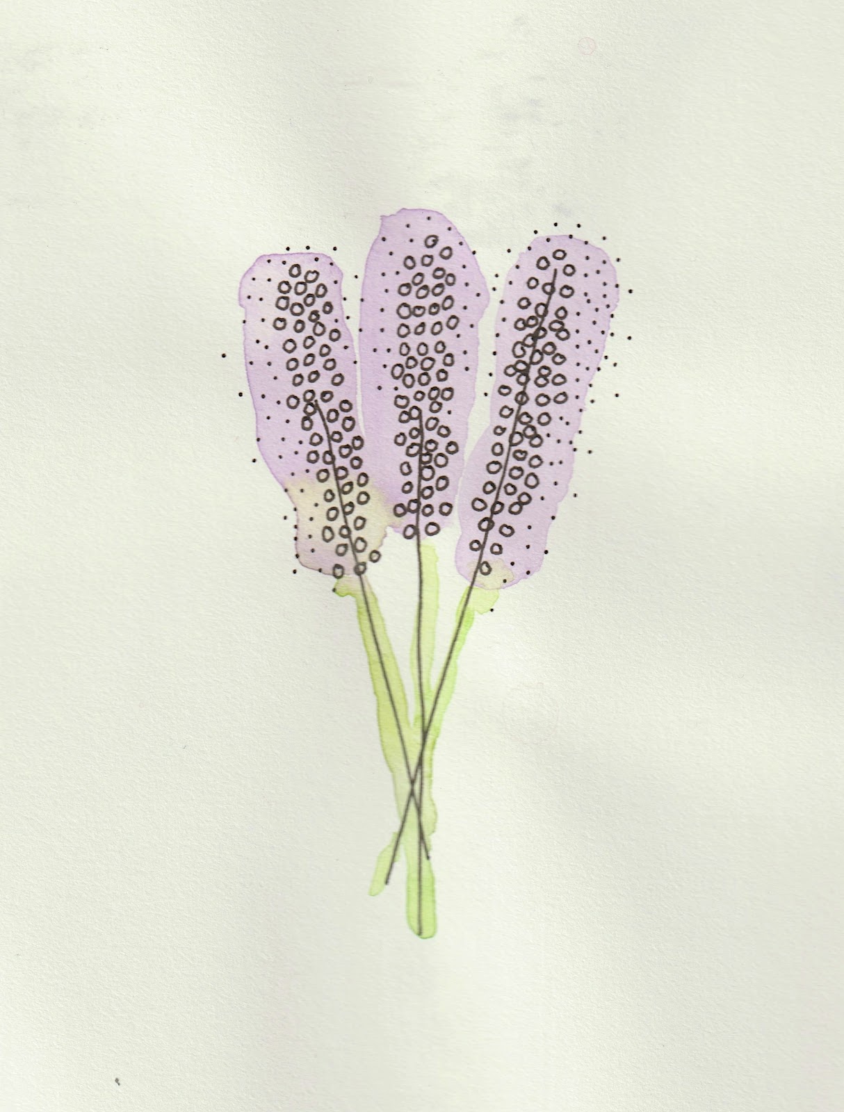 Watercolor illustration of lavender flowers with green stems.