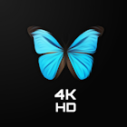 خلفيات وصور سوداء