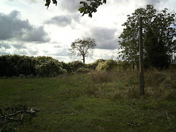 terrain à Saint-Martin-la-Pallu (86)