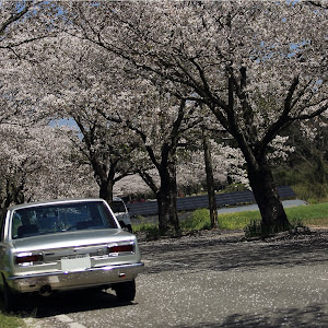 スカイライン