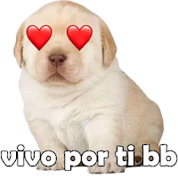 Stickers del Perrito Triste para WhatsApp - Nuevos