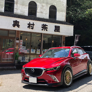 CX-3 DKEFW