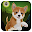 Dog World Adventure Download on Windows