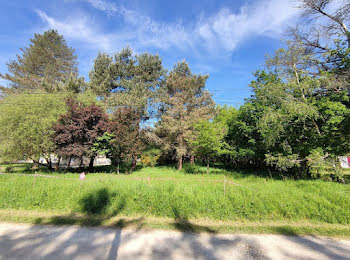 terrain à Bouzy-la-Forêt (45)