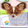 Papillon Puppy Care icon