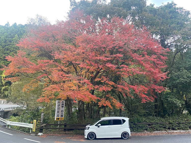 の投稿画像2枚目