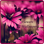 Flowers Wallpaper Apk