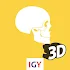 Anatomy 3D2.5