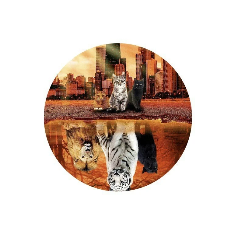 Title 12, Decorações Planas de Acrílico Animais Redondos ...